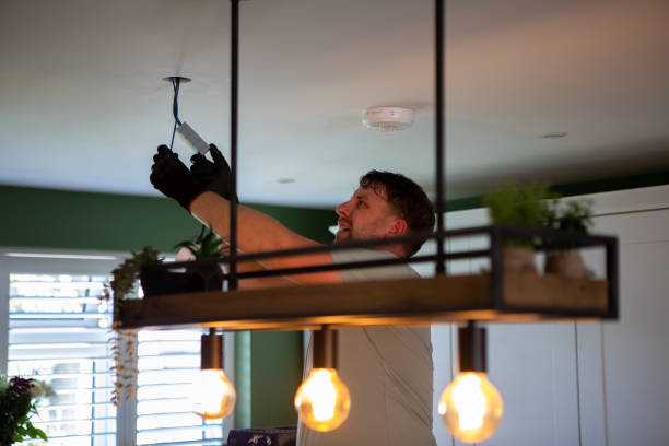 Best Electric Panel Repair  in Rice, MN